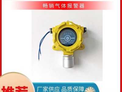 气体报警器 H2S O2可燃气体探测器实时监测图2