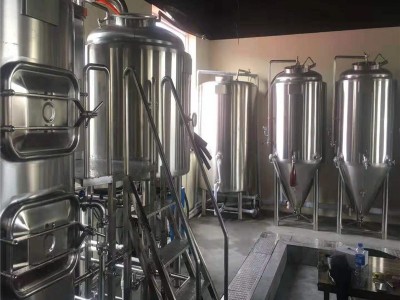 300升的小型精酿啤酒设备 酿啤酒的设备大概多少钱图2