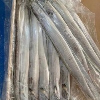 进口带鱼|钓带怎么进口|进口报关行|进口清关代理