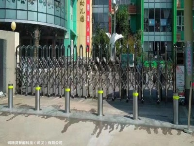湖北升降地柱规格型号 学校用升降柱图2