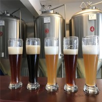 固件酒店自酿1000升啤酒设备 三器糖化设备