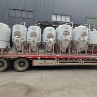 辽宁酒厂年产2000吨的大型精酿啤酒设备定做厂家