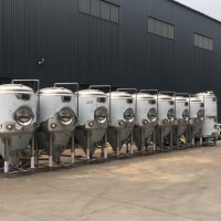 长春精酿啤酒设备 啤酒厂年产1万吨啤酒设备