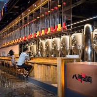合肥火锅店餐饮店精酿鲜酿啤酒设备日产2吨的啤酒设备