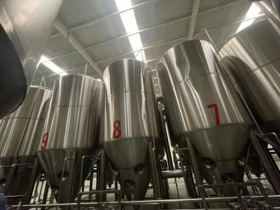 酒厂酿啤酒的设备配置年产2万吨大型自动化啤酒设备厂家图3