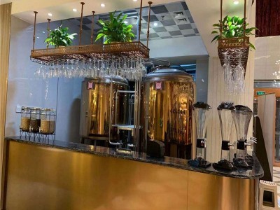 江苏饭店酒店精酿啤酒设备 2吨啤酒设备价格酿酒机器图2