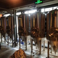 可以生产精酿啤酒的设备有哪些 全套啤酒设备酿酒的设备