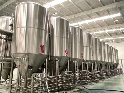 30吨精酿啤酒发酵罐啤酒厂自动化啤酒设备大型啤酒设备图2