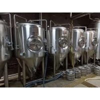 生产精酿啤酒设备的厂家 酿造3000升的啤酒机器