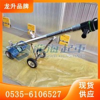 龙升电动搬运推进器电机部分保质五年,电动搬运推进器龙海起重