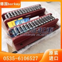 隧道工程用AS-H-IIIV德国borkey重物移运器