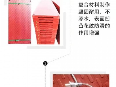 养猪场母猪产床仔猪保温碳纤维电热板图3