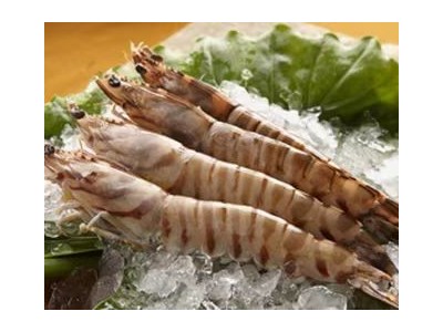 天津冷冻海鲜进口报关公司图2