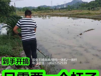 锂电一体单杆，锂电一体竿批发、促销价格图2