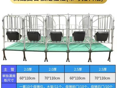 猪场母猪.栏落地式.栏带板.栏可定制图2