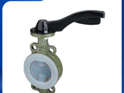 进口衬氟对夹式蝶阀 防腐蝶阀图2