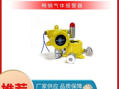烤漆房油漆气体报警器 现场智能监测 SF6 O2探测器图1