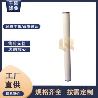 千陆 FG-336-FGA替代派瑞燃气过滤器滤芯