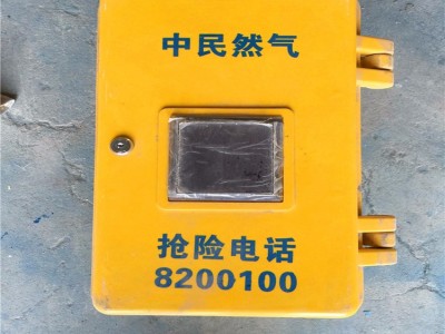 山东供应燃气表箱 玻璃钢表箱厂家批发图2