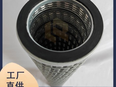 千陆 PSFG336M1C01EB替代派瑞天然气过滤器滤芯图2