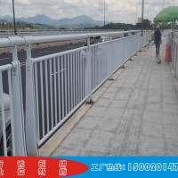 定制观景台不锈钢护栏 桥梁安全栏杆 佛山河道钢丝绳护栏批发