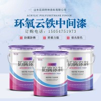 环氧云铁中间漆；环氧树脂防腐漆 防腐涂料报价