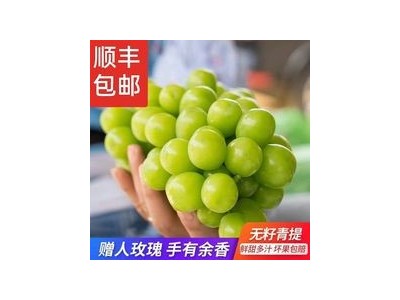 进口日本晴王无籽青提阳光网红水果生鲜孕妇葡萄青岛港报关图2