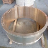 供应风电齿轮箱铜环铸造生产销售