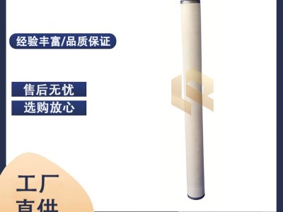 替代生产PECO派瑞CIF1LX3燃气聚结滤芯图2