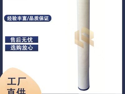 替代生产派瑞天然气过滤器滤芯KFG372  KGF372图2