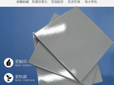 全瓷质素面白瓷耐酸砖  黑龙江耐酸砖种类 J图3