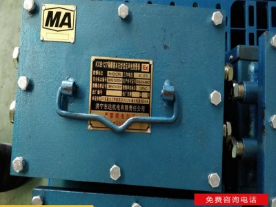 东达机电 煤矿井下用 KXB127型隔爆兼本安型语言声光报警器 安全 体积小 重量轻图2