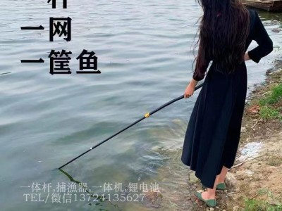 锂电一体杆,抄网竿一竿清渔具抄网杆3.8米图1