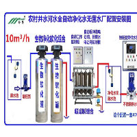 井水河水生活饮用水处理设备农村水厂全自动自来水生产设备