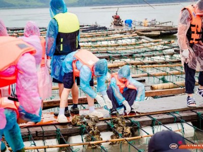 苏州中小学生小小渔夫暑假夏令营户外沙滩赶海活动体验营报名中图2