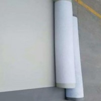 PVC/PPT聚氯乙烯防水卷材