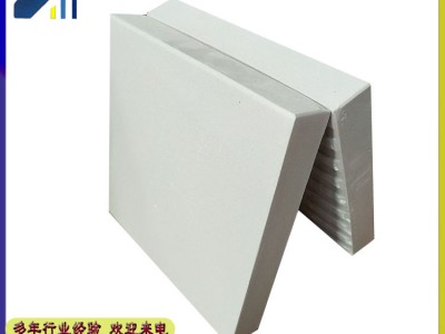 广东汕头耐酸砖厂家 定制生产多规格防腐耐酸碱工业瓷砖 J图2