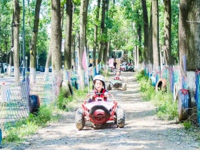 苏州青少年暑期夏令营丛林穿越户外拓展体育探索体验营活动报名中图2