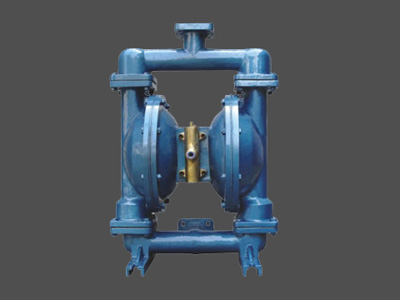 上海佰诺 隔膜泵*Y-65图2