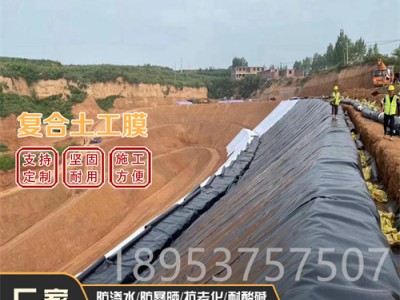 复合防渗土工膜 黑膜沼气池 蓄水池建设水产养殖膜 人工河道湿地防渗膜图2