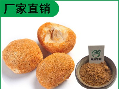 森冉生物 猴头菇提取物 猴头菇多糖 猴头菌提取物图1