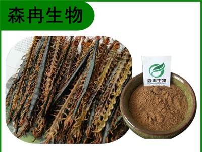 森冉生物 蜈蚣提取物 天龙提取物 蜈蚣粉图1