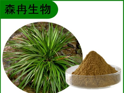 森冉生物 石菖蒲提取物 水蜈蚣提取物 植物提取原料粉图1