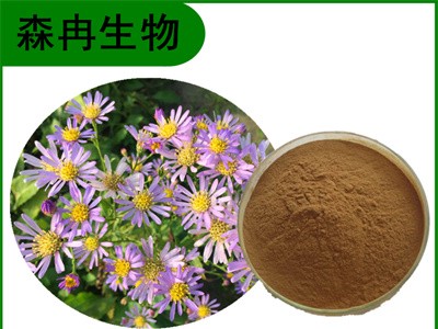 森冉生物 紫苑提取物 紫菀提取物 植物提取原料粉图1