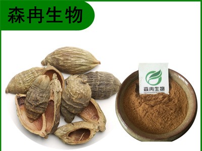 森冉生物 大腹皮提取物 槟榔皮提取物 植物提取原料粉图1