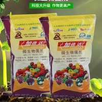 微生物菌剂活性有益菌 农用有机肥料黑色颗粒粉状菌肥土壤调理剂