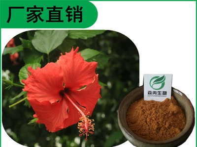 森冉生物 扶桑花提取物 朱瑾提取物 植物提取原料粉图1