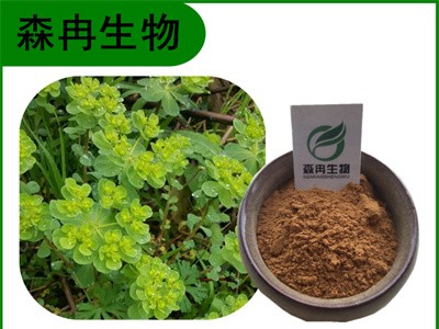 森冉生物 泽漆提取物 五朵云提取物 全水溶原料粉图1