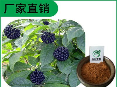 森冉生物 刺五加提取物  刺五加皂甙 刺柺棒提取物图1
