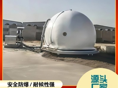 双膜气柜柔性储气柜 沼气利用沼气缓存装置 废气污水处理软体沼气柜图3
